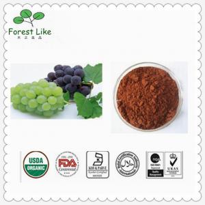 Grape Seed Extract OPC 95 % 98 % Polyphenol 20%-80%