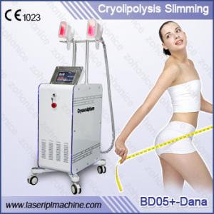 Fat Freezing Cryolipolysis Slimming Machine With Two Handles and Touch screen