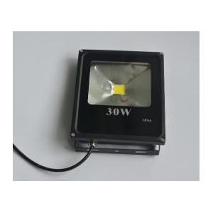 LED Flood Light 30w Aluminum Outdoor Waterproof 2 Years Warranty Low Cost Hign Quality Landscape Lighting Projection
