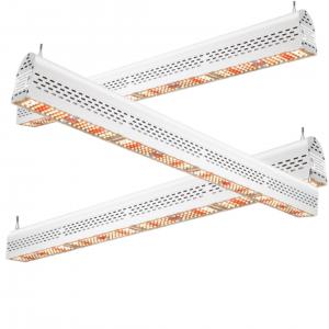China ETL IP67 300W Top Led Herb Grow Light , LED Grow Lamps For Indoor Plants supplier