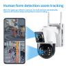China Built-in Siren and SD Card Data Storage Options for C2480WG-10C Solar Network Camera wholesale