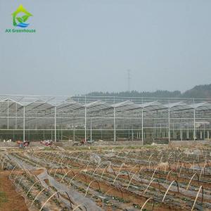 OEM Flowers Polycarbonate Sheet Greenhouse Transparent Tropical Fruit Greenhouse