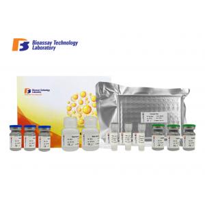 GGT1 Sheep Enzyme Linked Immunosorbent Assay Kit 96 Wells CE / ISO Certification
