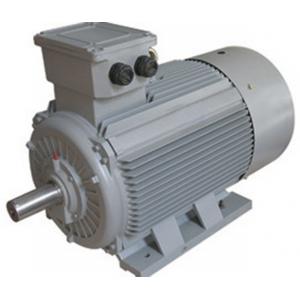 Y2 Series IE2 Motor Three Phase Induction Cast Iron Motor Conformity With IEC34-1