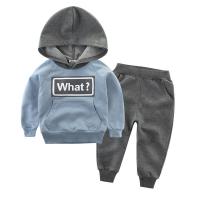 China Children'S Outfit Sets Children'S Cotton Two Piece Hoodie Suits Boys Sports Suits on sale