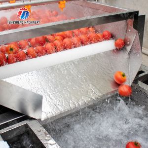 China 多機能の果物と野菜の加工ライン平行のブラシ機械 wholesale