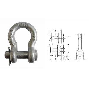 China Hoist Chain 5 Ton Shackle Galvanized Screw Pin Anchor Custom supplier