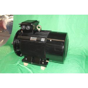 YE3 355M1 6 Pole Class F 3 Phase Asychronous Motor 160kW IP55