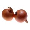 China New arrival fresh onions 2023 crop red onion and yellow vegetable supply from China onion factory wholesale