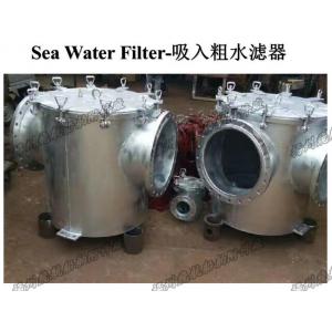 High quality straight sea water filter, right angle sea water filter