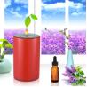 China PBT Aromatherapy 80sqm Car Aroma Diffuser Mini USB wholesale