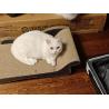 China Cat Scratcher with Catnip Premium Corrugated Indoor Cat Furniture Durable Scratch Pad for Kittens Cats Play wholesale