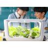 Indoor Plants Vertical Hydroponic Sprout Growing Systems