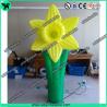 Inflatable Flower, Inflatable Tree, Festival Event Party Decoration Flower