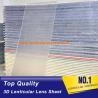 China 20 lpi lenticular sheet standard size 1.2*2.4m PS material blank flip lenticular plastic lens for inkjet printer wholesale