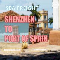 CIF FOB Sea Freight China To Spain Port Trinidad Tobago Worldwide Cargo Shipping