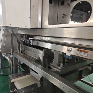 China Plastic color sorting machine with stainless steel 304 and medium resolution camera wholesale