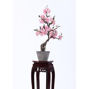 China Plastic Outdoor Bonsai Tree Fire Retardant Fabricated Tropical Landscapes supplier