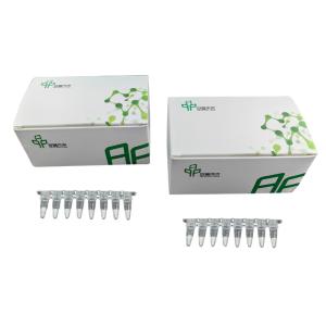 China Basic RNA Amplification Kit Stable Easy Operate 14 Months Validity wholesale