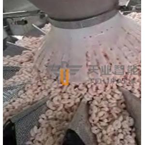 China SUS 304 Frozen Food Packing Machine Auto Weighing System CE Certificate supplier