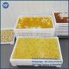 China Food Grade Hygienic Plastic Drying Tray with Light Structure and Dimensions 762x495x55mm for Paintball and Softgel Drying wholesale