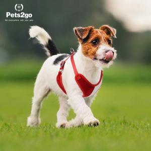 Nylon Oxford Lightweight 122G Comfort Dog Harness