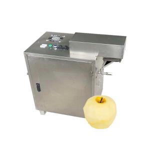 China Industrial Fruit mango pulp processing peeling machine Pineapple apple juice extractor machine Passion fruit pulping machine supplier