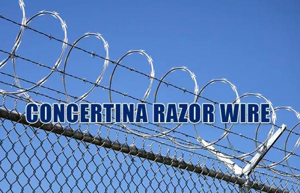 Bto-22 Galvanized Concertina Razor Wire Diameter 600mm Loops For Anti Climbing