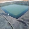 China Chinese Design Style Water Pond Plastic Polyethylene Geomembrane Liner for Fish Pond wholesale