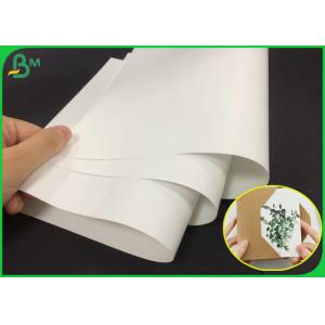 China 80g White Color Matte Gloss Art Paper Roll For Making Company Brochure supplier