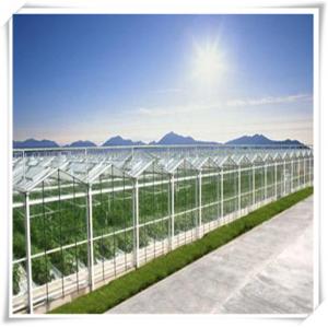 Height 3m Customized Agriculture Small Glass Garden Greenhouse for Vegetables Growing