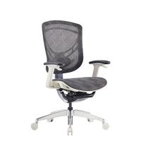 China Grey Ergo Swivel Chair Paddle Shift Wire Control mesh Office Seating Ergo Office for sale
