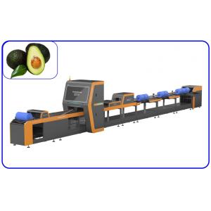 China Large Yield 50Hz Fruit Sorting Machine Intelligent Avocado Sorting Machine supplier