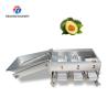 China 150KG 380V Lemon screening and grading machine stainless steel fruit sorting machine citrus fruit sorting machine wholesale
