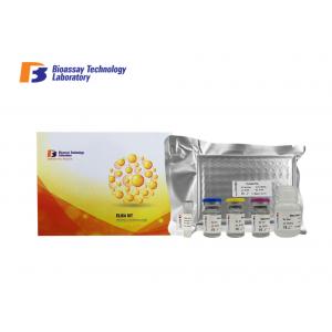 China 48 / 96 Wells Sandwich Elisa Kit Highly Sensitive For Rat Research OEM Acceptable supplier
