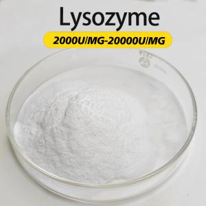 China Lysozyme Enzyme 20000U/MG FSSC22000 MUI Kosher System Certification Customizing Enzyme Activity Specifications wholesale