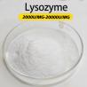 China Lysozyme Enzyme 20000U/MG FSSC22000 MUI Kosher System Certification Customizing Enzyme Activity Specifications wholesale