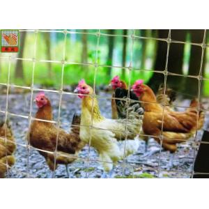 Transparent Plastic Netting Fence, Plastic Plastic Poultry Netting, 35GSM, Chicken Netting, 1M High