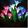 IP65 Waterproof Lily Flower Solar Light 4 Pack For Garden Decoration