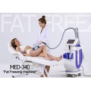 2 Handpieces Fat Freeze Slimming Cryolipolysis Vacuum Machine For Fat Reducing