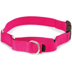 China Martingale Soft Nylon Dog Collar With Quick Snap Buckle supplier
