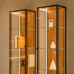 China Space Saving Curio Wall Mounted Glass Display Cabinet Showcase With Led Light supplier