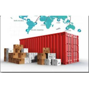 Efficient Safe DG Cargo Shipping To USA Canada Shipping Forwarder From China