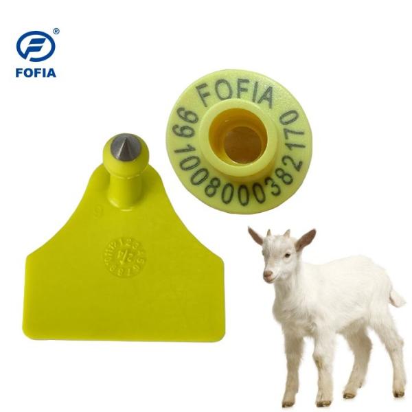 Personalized Sheep Ear Tags for Easy Livestock Identification and Sorting