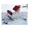 China Pro Commercial Gym Rack And Exercise Equipment Back Extension Bench wholesale