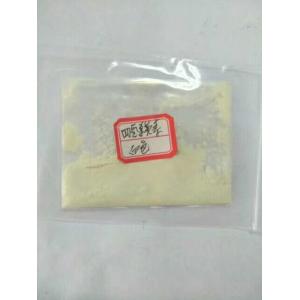 Factroy Supply Black Pepper Extract Tetrahydropiperine 98% Powder  Cas No. 23434-88-0