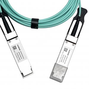 China 100Gb/S QSFP28 Indoor Fiber Optic Cable MFA1A00-C100 Passive Copper Cable supplier