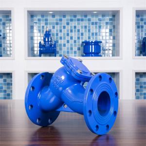 DIN Ductile Cast Iron Y Type Strainer Filter Pn16 Flanged Blue Drinking Water