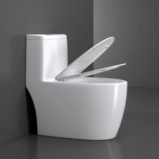 China モダンデザインセラミックワンピーストイレ高品質デュアルフラッシュ、Sトラップ排水、家庭用 wholesale