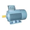 China Y2 Series Electric 3 Phase Induction Motor Cast Iron Housing Energy Saving wholesale